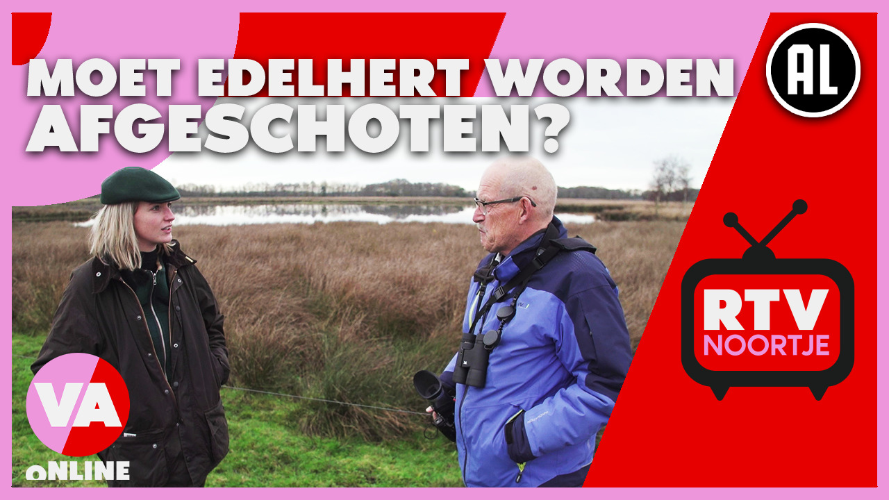 RTV Noortje - Edelhert in Drenthe afschieten?