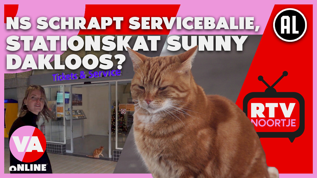 Wordt stationskat Sunny dakloos door NS? | RTV Noortje #8