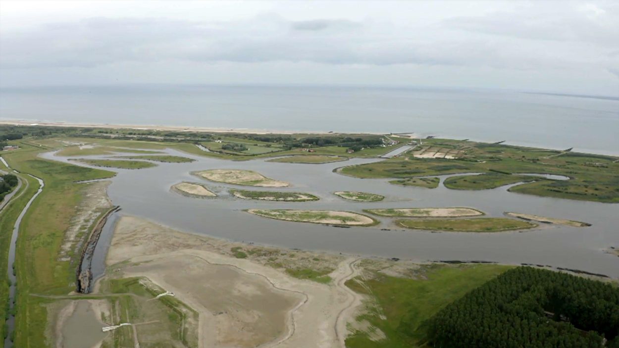 Waterdunen: getijdegebied achter de duinen | Vroege Vogels TV