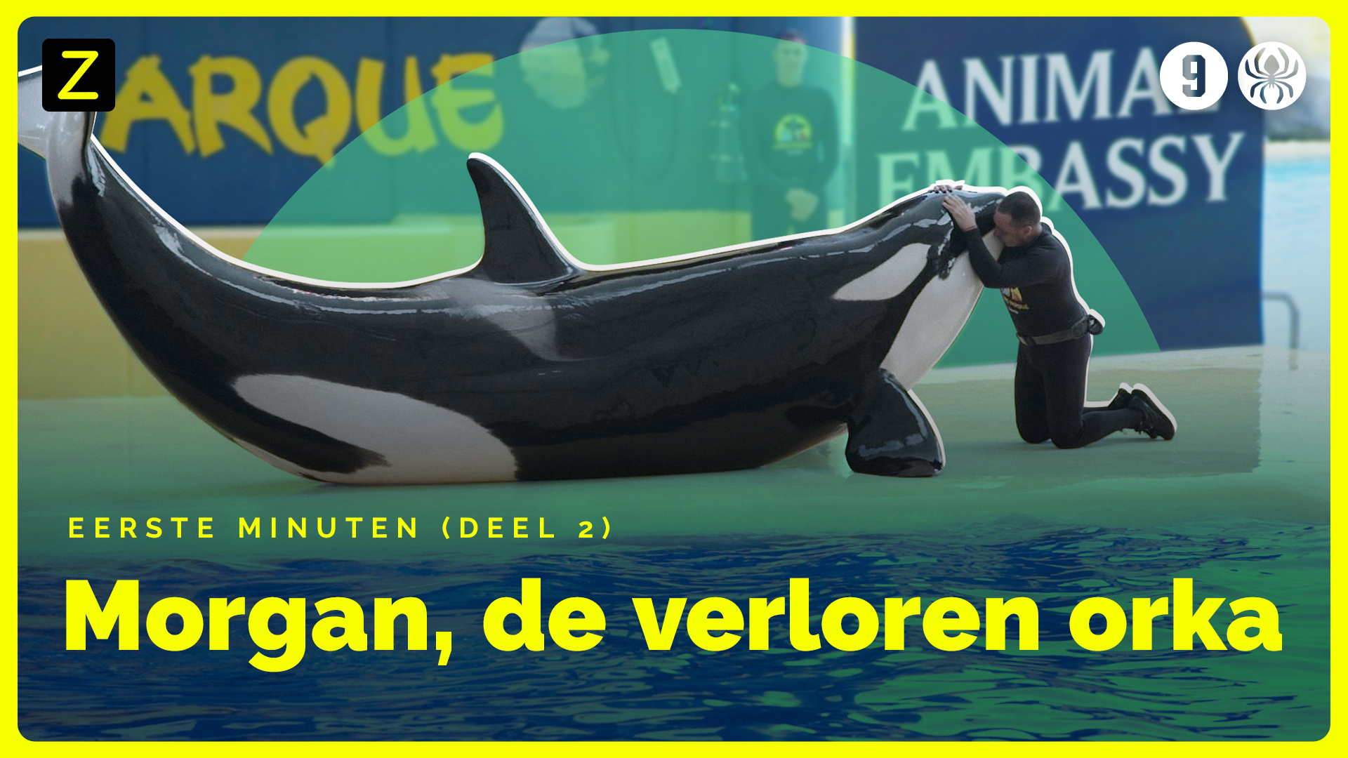 Eerste minuten uit 'Morgan, de verloren orka - deel 2'